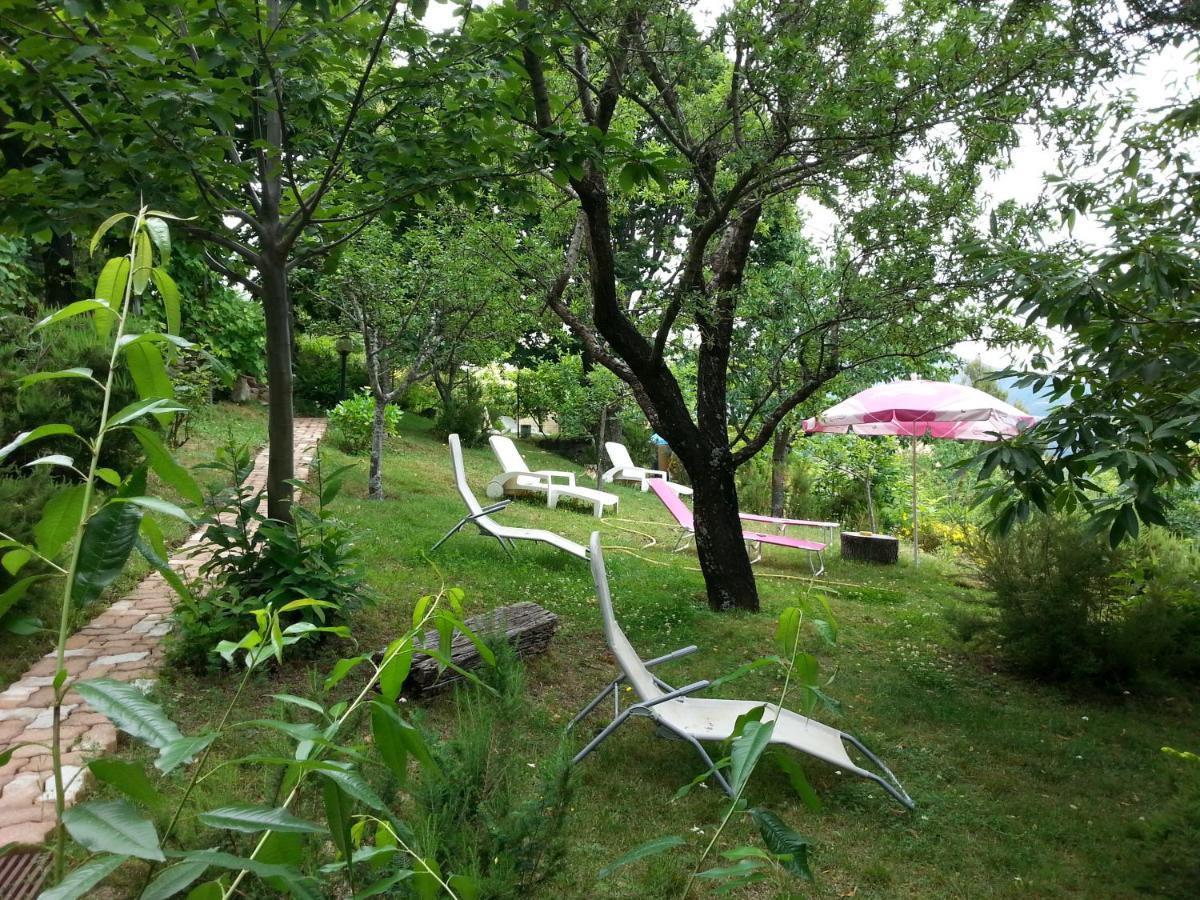 Hotel - Gites "U Pozzu" 埃维萨 外观 照片